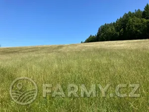 Prodej louky, Těchonín, 113108 m2
