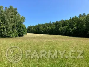 Prodej louky, Těchonín, 113108 m2