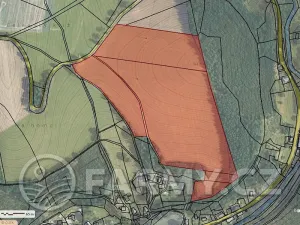 Prodej louky, Těchonín, 113108 m2