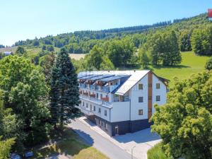 Prodej bytu 1+kk, Vrbno pod Pradědem, Žižkova, 31 m2