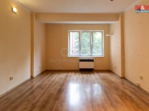 Pronájem bytu 2+kk, Praha - Žižkov, Biskupcova, 46 m2