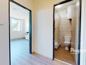 Pronájem bytu 1+kk, Mlékojedy, 35 m2