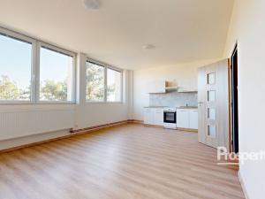 Pronájem bytu 1+kk, Mlékojedy, 35 m2