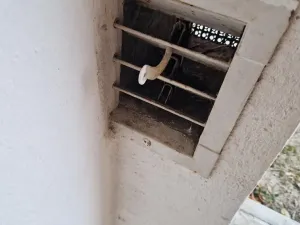 Prodej garáže, Jihlava, Březinova, 20 m2