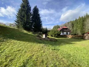 Dražba pozemku, Hartmanice, 126 m2