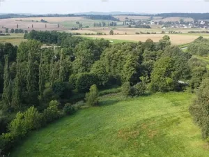 Dražba louky, Heřmaň, 1315 m2