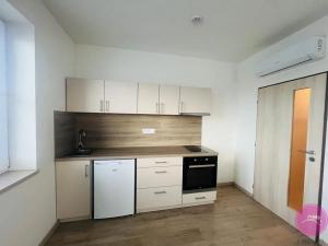 Pronájem bytu 1+kk, Olomouc, Týnecká, 35 m2