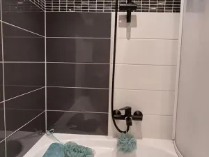 Prodej bytu 2+kk, Mokrá-Horákov, 53 m2