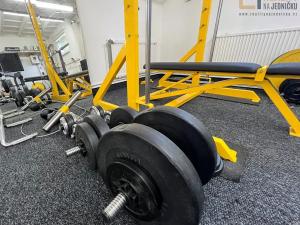 Pronájem - jiné, Ústí nad Orlicí, Pivovarská, 40 m2