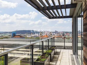 Pronájem bytu 4+kk, Praha - Vinohrady, Italská, 144 m2
