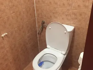 Pronájem bytu 1+kk, Lovosice, Terezínská, 51 m2