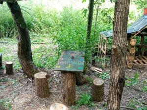 Prodej louky, Votice, 1118 m2