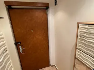 Pronájem bytu 3+kk, Praha - Vinohrady, Mánesova, 90 m2