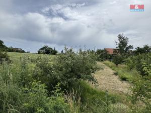 Prodej zahrady, Podbořany - Buškovice, 351 m2