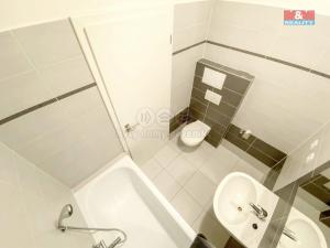 Pronájem bytu 1+kk, Lovosice, Osvoboditelů, 38 m2