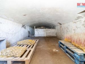Prodej zemědělské usedlosti, Nížkov, 100 m2