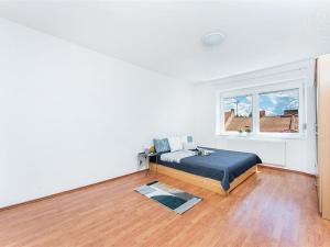 Pronájem bytu 1+1, Prostějov, Krátká, 49 m2