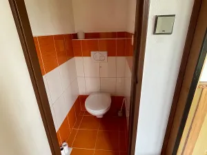 Prodej rodinného domu, Nová Ves u Nového Města na Moravě, 319 m2