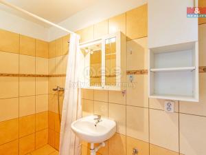 Prodej rodinného domu, Brantice - Radim, 160 m2