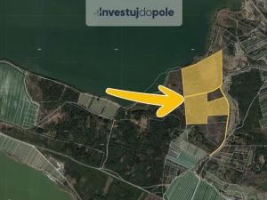 Prodej pozemku, Veselí nad Lužnicí - Horusice, 3772 m2