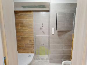 Pronájem bytu 1+kk, Olomouc, Janského, 31 m2