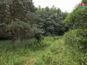 Prodej pole, Svárov, 11043 m2