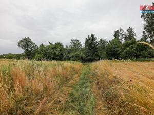 Prodej pole, Svárov, 11043 m2