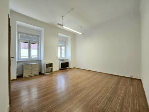 Pronájem bytu 1+kk, Brno, Cejl, 25 m2