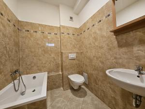 Pronájem bytu 1+kk, Brno, Cejl, 25 m2
