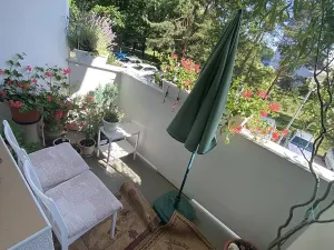 Prodej bytu 2+1, Brno, Brožíkova, 54 m2