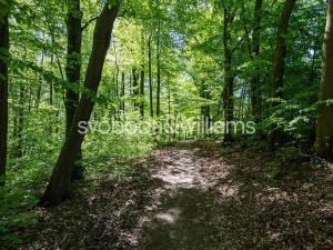 Prodej pozemku pro bydlení, Hostěnice, 3101 m2