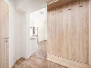 Pronájem bytu 1+1, Brno, Olomoucká, 45 m2