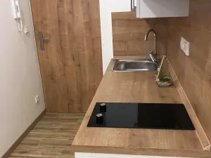 Pronájem bytu 1+kk, Zlín, Vejvanovská, 20 m2