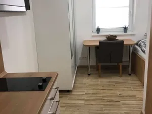 Pronájem bytu 1+kk, Zlín, Vejvanovská, 20 m2