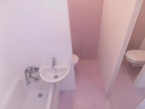 Pronájem bytu 1+1, Bohušovice nad Ohří, Nová, 36 m2
