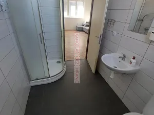 Pronájem bytu 1+1, Boršice, 40 m2