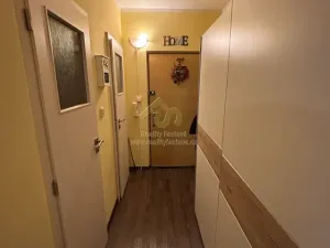 Pronájem bytu 1+1, Plzeň, Břeclavská, 39 m2
