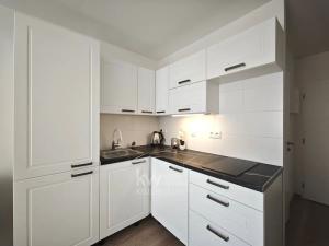 Pronájem bytu 1+kk, Praha - Vršovice, Kubánské náměstí, 18 m2