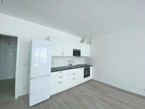 Pronájem bytu 1+kk, Brno, Hybešova, 46 m2