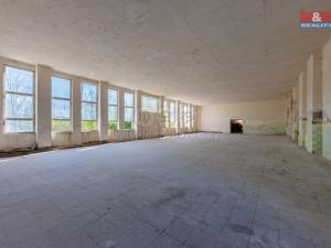 Pronájem obchodního prostoru, Březová, 558 m2