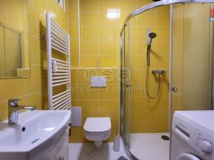 Pronájem bytu 1+kk, Olomouc - Neředín, Norská, 30 m2