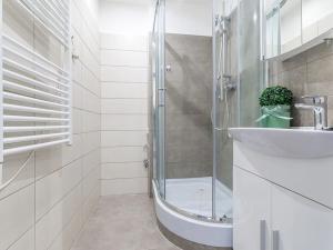 Pronájem bytu 1+kk, České Budějovice, Dlouhá, 37 m2