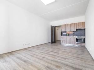 Pronájem bytu 1+kk, České Budějovice, Dlouhá, 37 m2