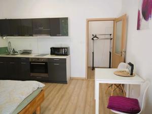 Pronájem bytu 1+kk, Brno, Vlhká, 28 m2
