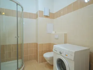 Pronájem bytu 1+kk, Plzeň, Božkovská, 34 m2
