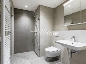 Pronájem bytu 2+kk, Praha - Holešovice, U průhonu, 48 m2