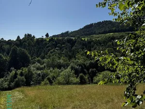 Prodej pozemku pro bydlení, Velká Lhota, 11334 m2