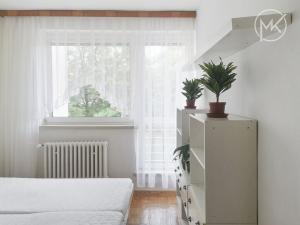 Pronájem bytu 4+1, Staré Město, 100 m2