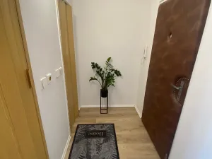 Prodej bytu 1+1, Praha - Záběhlice, Bramboříková, 35 m2