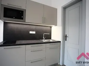Pronájem bytu 1+kk, Praha - Dejvice, Zelená, 31 m2